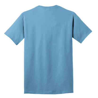 Aquatic Blue - PC54T - BACK
